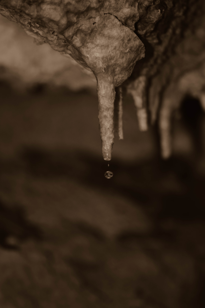 Hollows